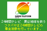 24���ԃe���r